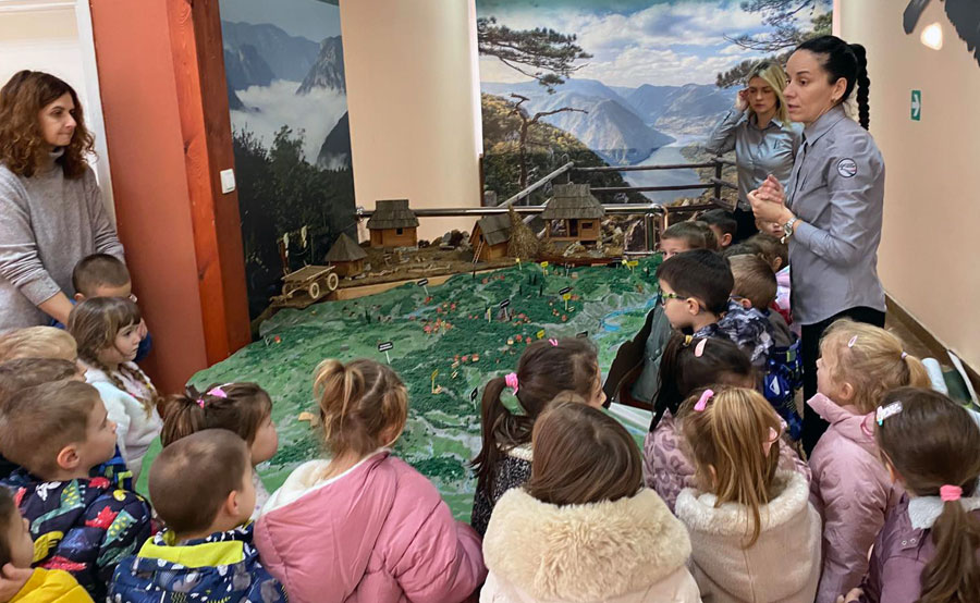 ПУ Невен - Пројекат дрво