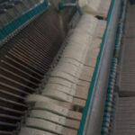 ПУ Невен - Пројекат "Чујем, свирам, стварам"